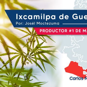 Ixcamilpa de Guerrero, productor #1 de marihuana