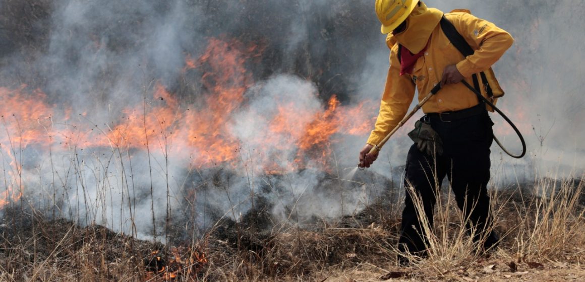 Medio Ambiente mejora capacidades para atender incendios forestales