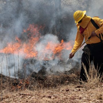 Medio Ambiente mejora capacidades para atender incendios forestales