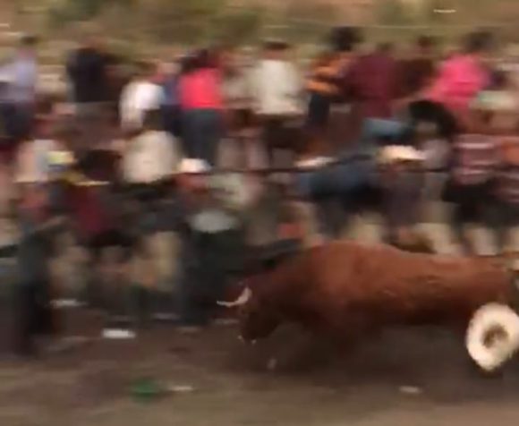 WhatsApp Image 2022-03-21 at 08.39.22 (1) Toro se escapa de jaripeo y se lanza contra espectadores