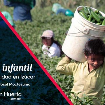 Izúcar de Matamoros y su cruda realidad que encubre el trabajo infantil