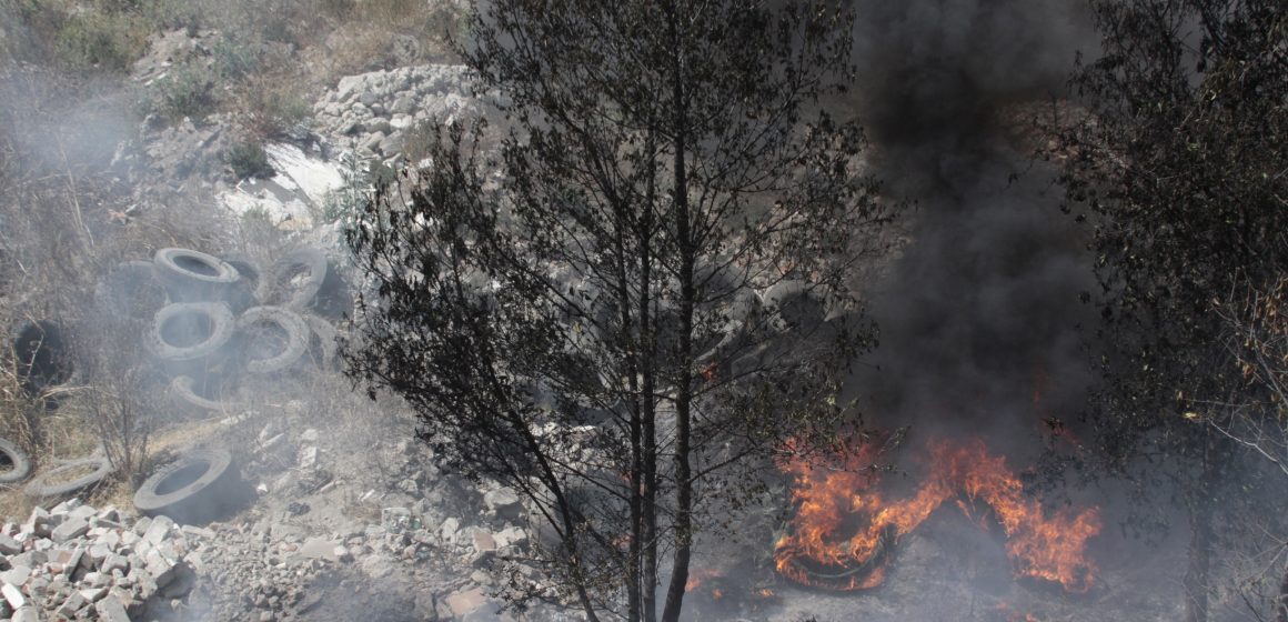 En lo que va del año se han registrado y controlado 167 incendios forestales