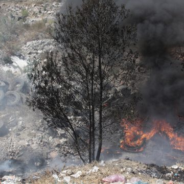 En lo que va del año se han registrado y controlado 167 incendios forestales