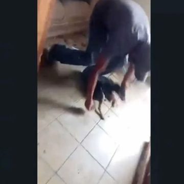 Exhiben a individuo asfixiando con una manguera a un cachorro en Puebla