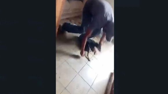 Exhiben a individuo asfixiando con una manguera a un cachorro en Puebla