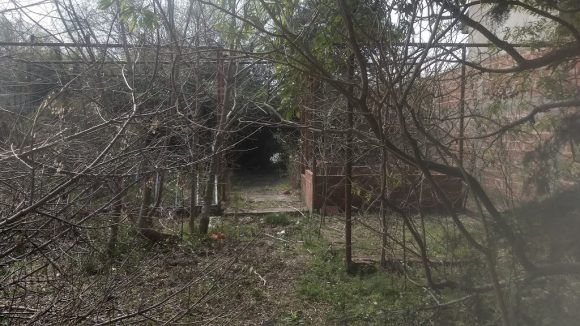 Ayuntamiento de Puebla limpiará terrenos baldíos y cobrará a dueños omisos