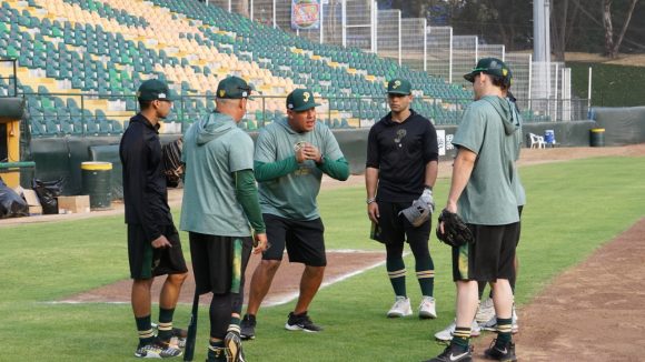 Los Pericos de Puebla regresarán este viernes para medirse a los Guerreros