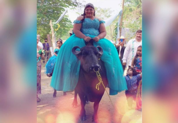 Quinceañera llega a su fiesta montada en un búfalo