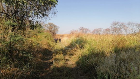 Asesinan a una pareja en las “Brechas”, entre Huaquechula y Atlixco