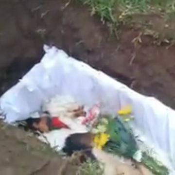 Realizan funeral a perrito callejero: con música y desfile