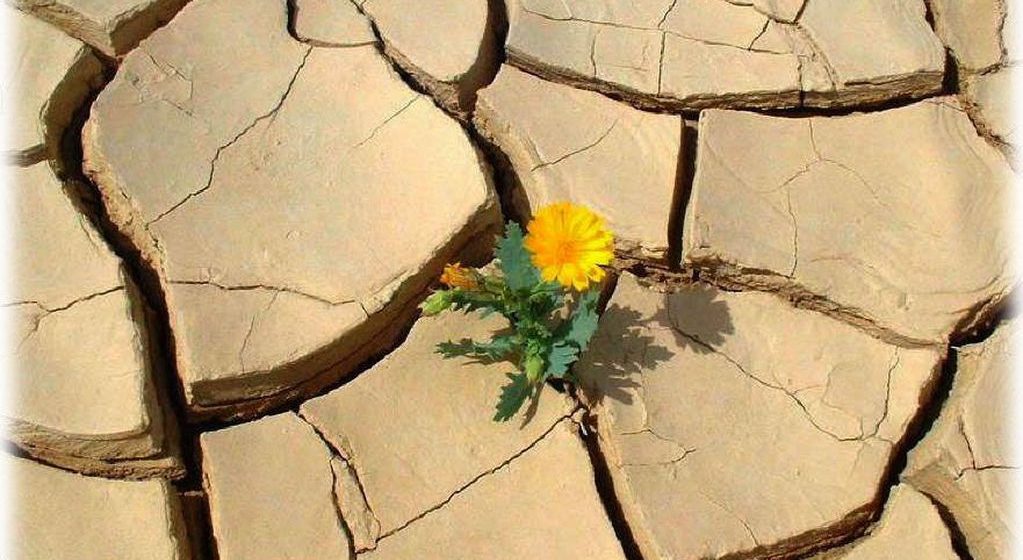 Resiliencia: ¿Cómo debo seguir con mi vida?