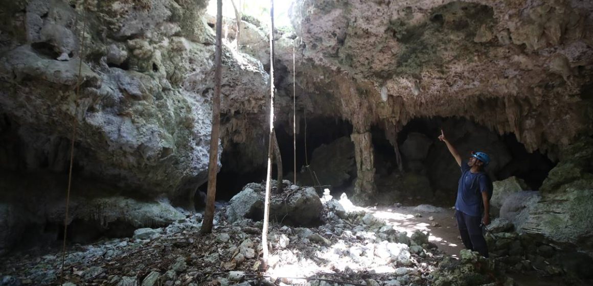 El tren Maya, es una “trampa mortal” para fauna y cavernas, alertan