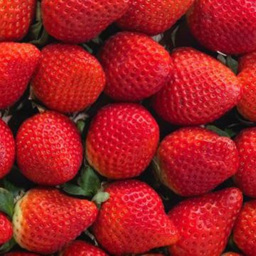 EU y Canadá vinculan casos de hepatitis a fresas contaminadas