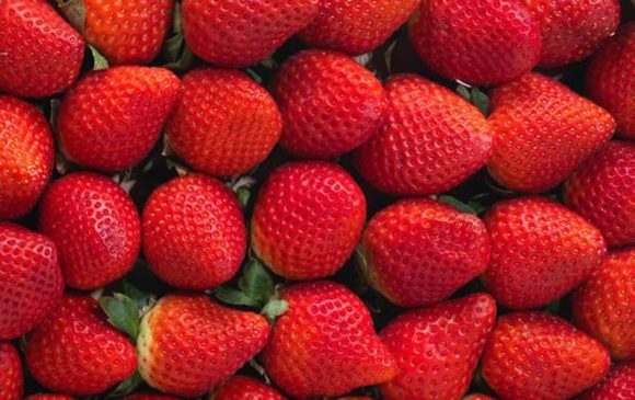 EU y Canadá vinculan casos de hepatitis a fresas contaminadas
