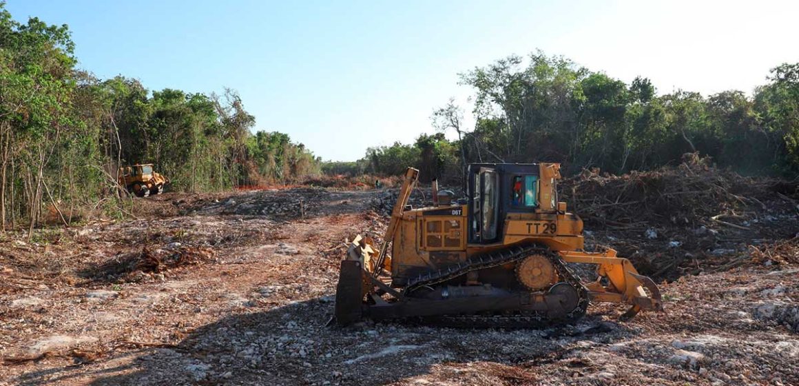 Conceden suspensión definitiva a obras del Tramo 5 Sur del Tren Maya