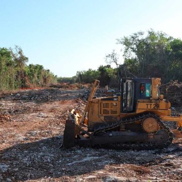 Conceden suspensión definitiva a obras del Tramo 5 Sur del Tren Maya