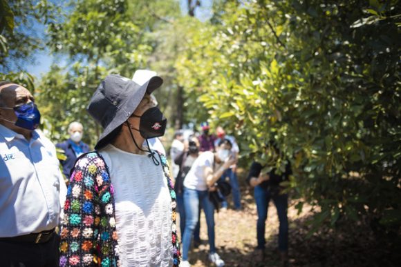 Facultad de Ciencias Agrícolas de la BUAP, ha detonado el crecimiento en la región:  Lilia Cedillo