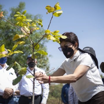 Celebra la Rectora Lilia Cedillo Ramírez 35 años del Jardín Botánico Universitario