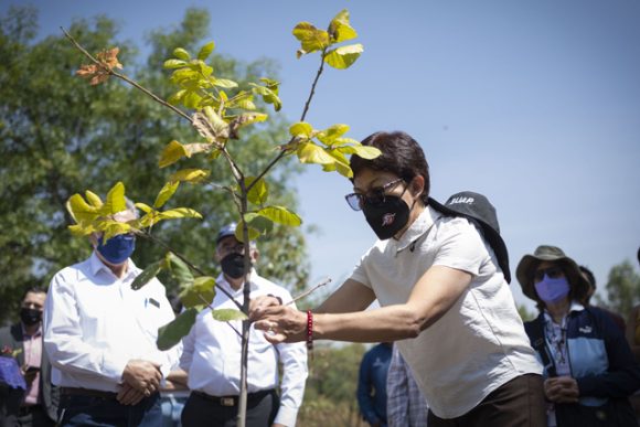 A_Jardín Celebra la Rectora Lilia Cedillo Ramírez 35 años del Jardín Botánico Universitario