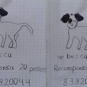 Niñas ofrecen recompensa de 20 pesos para localizar a su perrito
