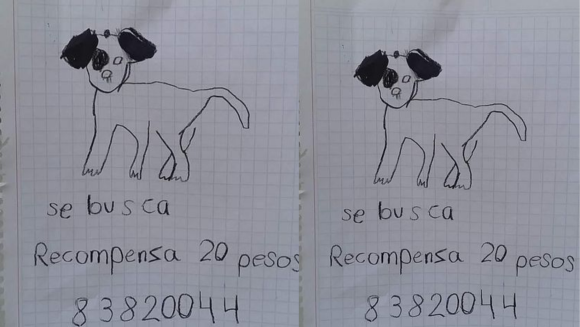 Niñas ofrecen recompensa de 20 pesos para localizar a su perrito