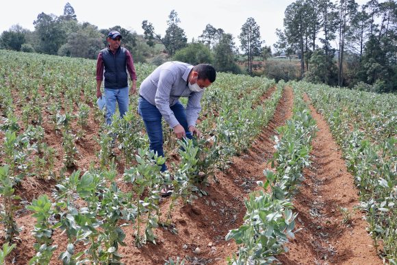 Indemniza SDR a productores de Tlatlauquitepec afectados por granizo