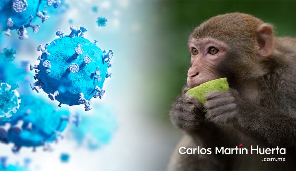 Detectan en Argentina el primer caso sospechoso de viruela del mono