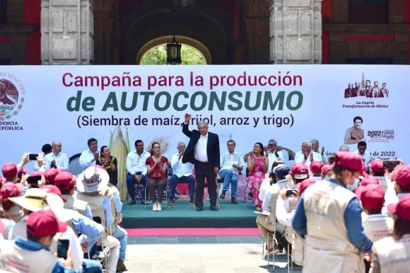 Reorientarán programa “Sembrando Vida” para sembrar maíz