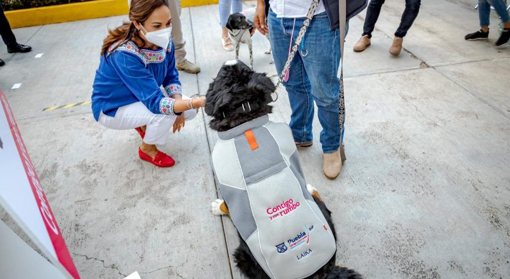 Crece la familia del SMDIF; dos canes se suman a los programas de asistencia social