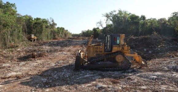 Obras en el Tramo 5 del Tren Maya continuarán: Fonatur