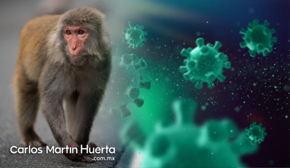 Cambiarán nombre de viruela del mono para evitar discriminación