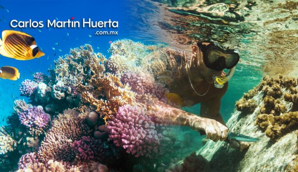 Saquean sin control el Parque Nacional Arrecife Alacranes, tesoro del Golfo de México