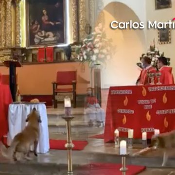 (VIDEO) Perro se roba el pan durante misa