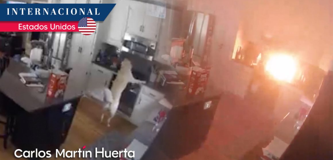 (VIDEO) Perro incendia casa accidentalmente; esto fue lo que sucedió