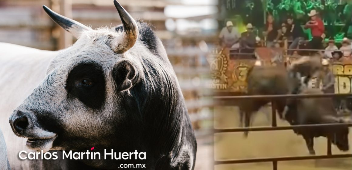 (VIDEO) Muere jinete tras ser pisoteado por un toro durante jaripeo