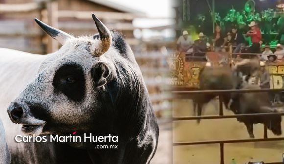 Portada Jaripeo Morelos CMH (VIDEO) Muere jinete tras ser pisoteado por un toro durante jaripeo
