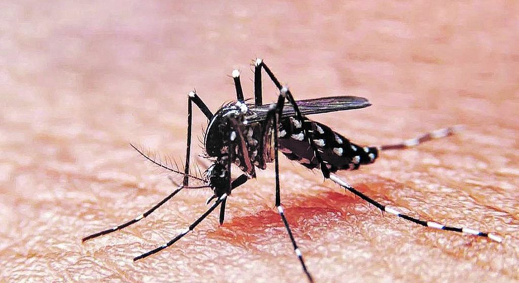 Se registra primera muerte por Dengue en 2023