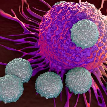 La ciencia avanza contra el cáncer; prueban con éxito en animales una vacuna para eliminar tumores