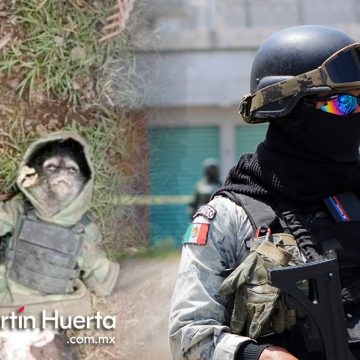 Mono araña muere tras enfrentamiento en Texcaltitlán, Estado de México