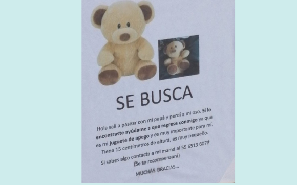 Se busca Osito; niño de 2 años pierde juguete, familia coloca carteles y ofrece recompensa