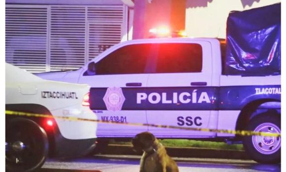 Perrito acompaña el cuerpo de su dueño tras morir atropellado en CDMX