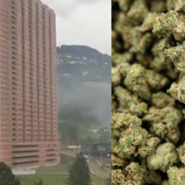 Policía quema marihuana incautada; drogan a vecinos