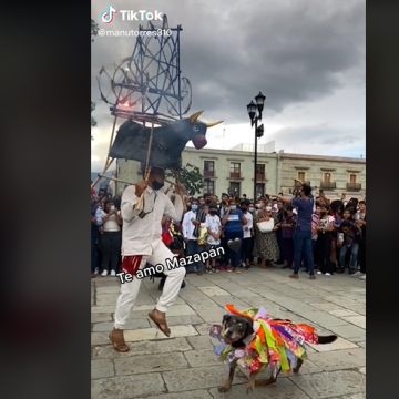 Regresa “Mazapán”, perrito bailador de la Guelaguetza