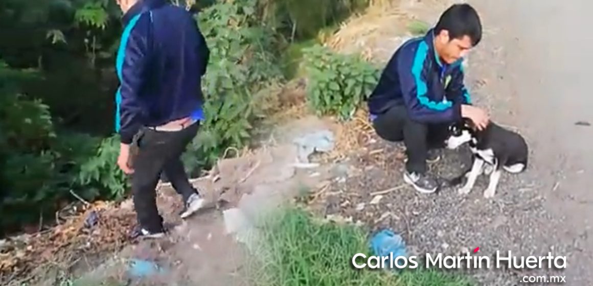 (VIDEO) Hombre avienta a su perro al río atado de patas y cuello; vecino lo obliga a rescatarlo