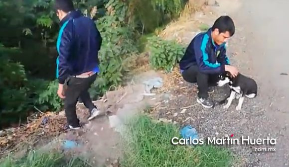Portada perro Río Xalapango CMH (VIDEO) Hombre avienta a su perro al río atado de patas y cuello; vecino lo obliga a rescatarlo