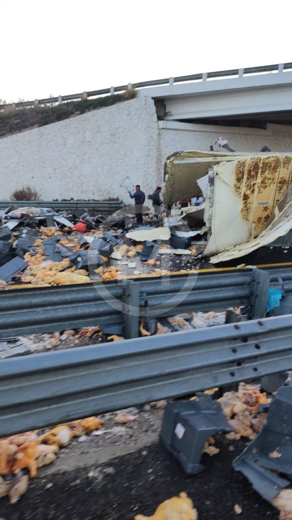 volcadura tráiler pollo Rapiñan 20 toneladas de pollo de tráiler volcado en la Puebla-Orizaba