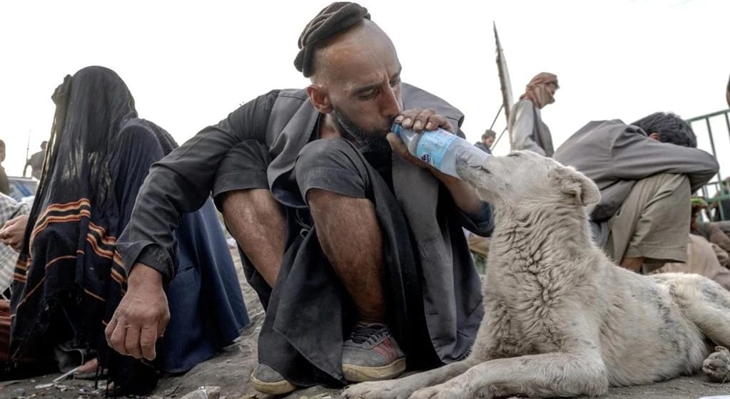 Imágenes revelan masiva adicción a la heroína en Afganistán