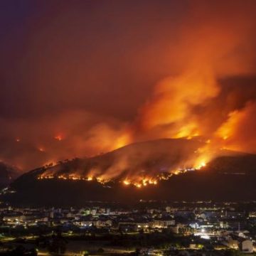 Incendios en España 100 mil hectáreas forestales