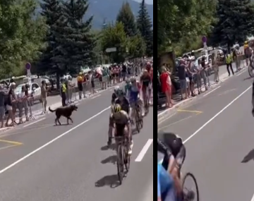 “Lomito” tira a ciclistas en el Tour de Francia