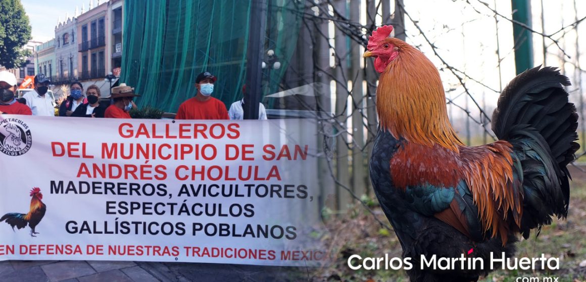 Galleros rechazan propuesta panista de prohibir palenques en Puebla